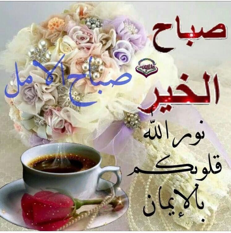H4love2oman's tweet photo. صباحكم عماني https://t.co/Yp1kMFojoD