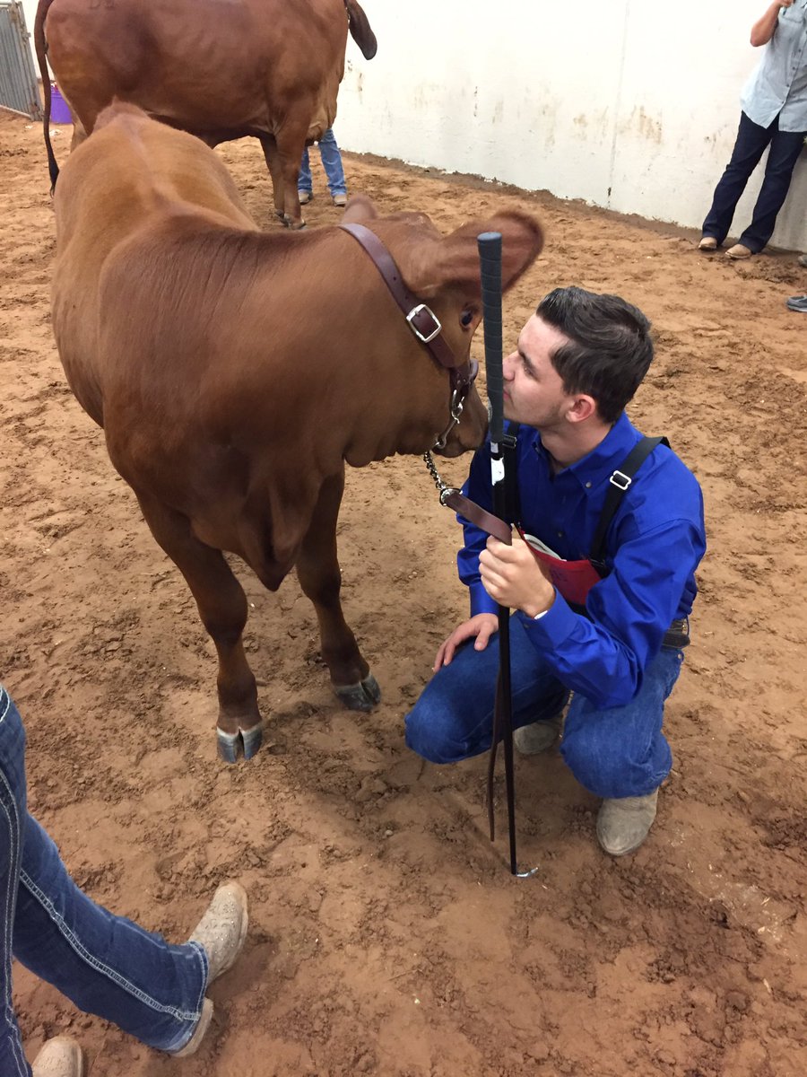 coffee_faith's tweet photo. I'm pretty sure this is my favorite picture of the whole weekend! #cowwhisperer #hot2016 #justty #justwitchy https://t.co/42C31roDgX