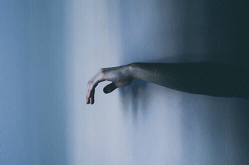 song boards tweet media