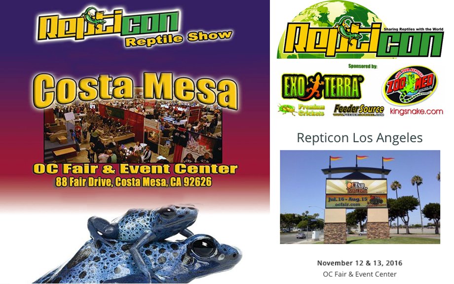 Spiders-N-Inverts tweet media