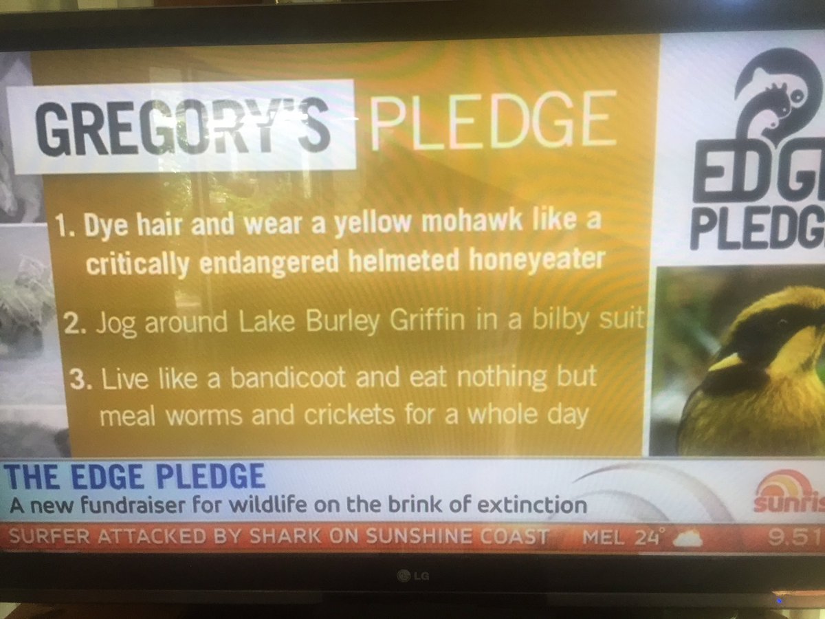 Threatened Species Minister's shows us how we can take action for our wildlife. <a href="/TSCommissioner/">@TSCommissioner</a> <a href="/JoshFrydenberg/">Josh Frydenberg</a> <a href="/sunriseon7/">Sunrise</a> #conservation