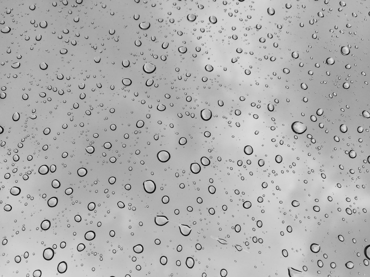 lindseybrenner_'s tweet photo. clarity https://t.co/y2vPsS66IH