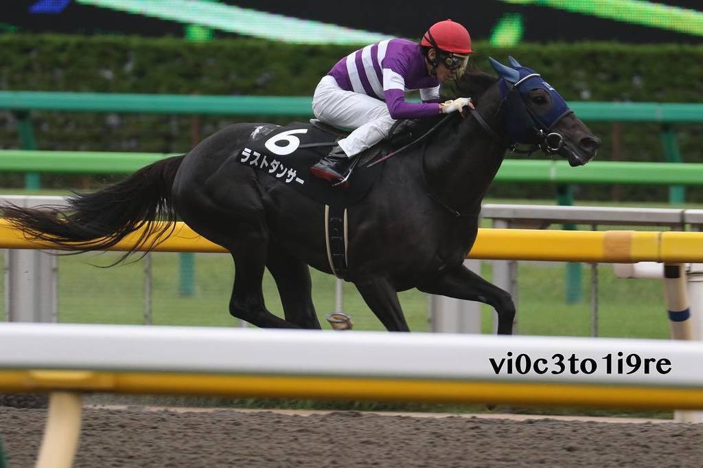 テレビ静岡賞 2021 結果 払い戻し 競馬予想ウマークス