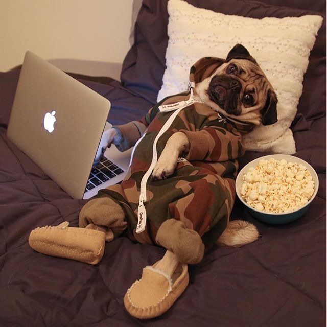 ClarissaYorke's tweet photo. eu sonho em ter esse nível de conforto um dia: https://t.co/krHtgDdx9a
