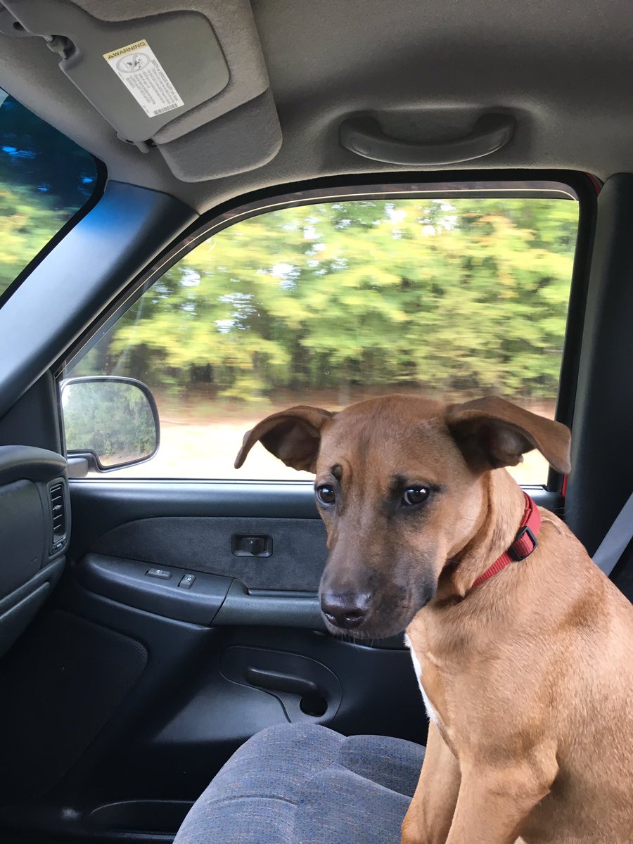 CoachBrown288's tweet photo. My best shot gun rider https://t.co/gJcSkxuhxM