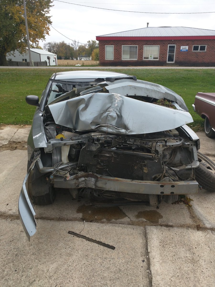 Jeep_Price's tweet photo. The deer and tree won https://t.co/3roYxWmPpl