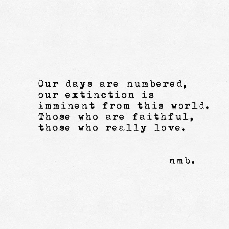 #buzolicquote Not easily found. Not easily replaced.