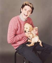 crawolfie's tweet photo. -larry, niall, harry and dogs [cute]- https://t.co/hfj3AAyTYa