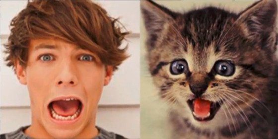 crawolfie's tweet photo. -kitten- https://t.co/OpDiLGZTsR