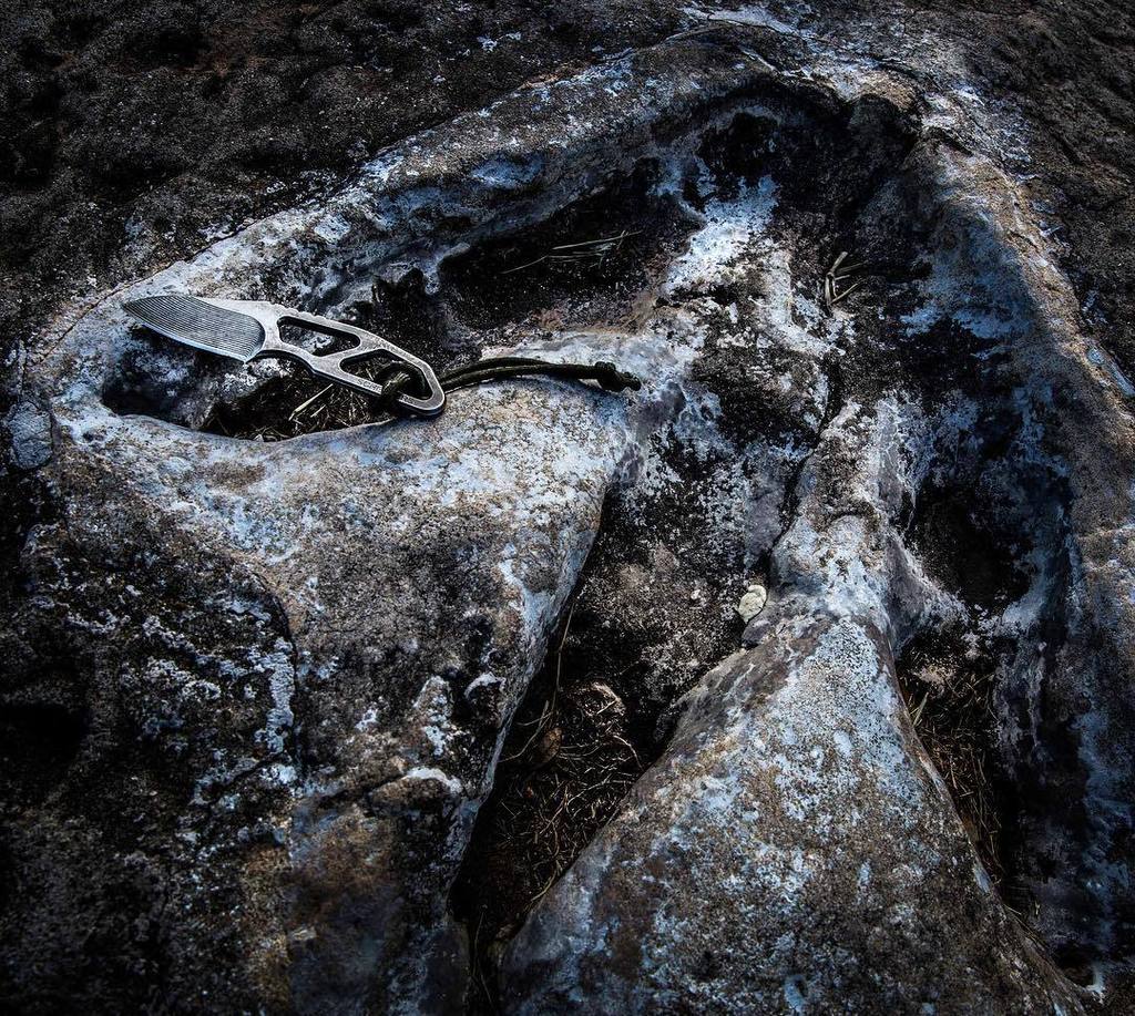 SurviveAndShoot's tweet photo. As the @scheepersknives Cera is named after a prehistoric beast, it seemed appropriate to photograph it resting in … https://t.co/aV3vkyBEdD
