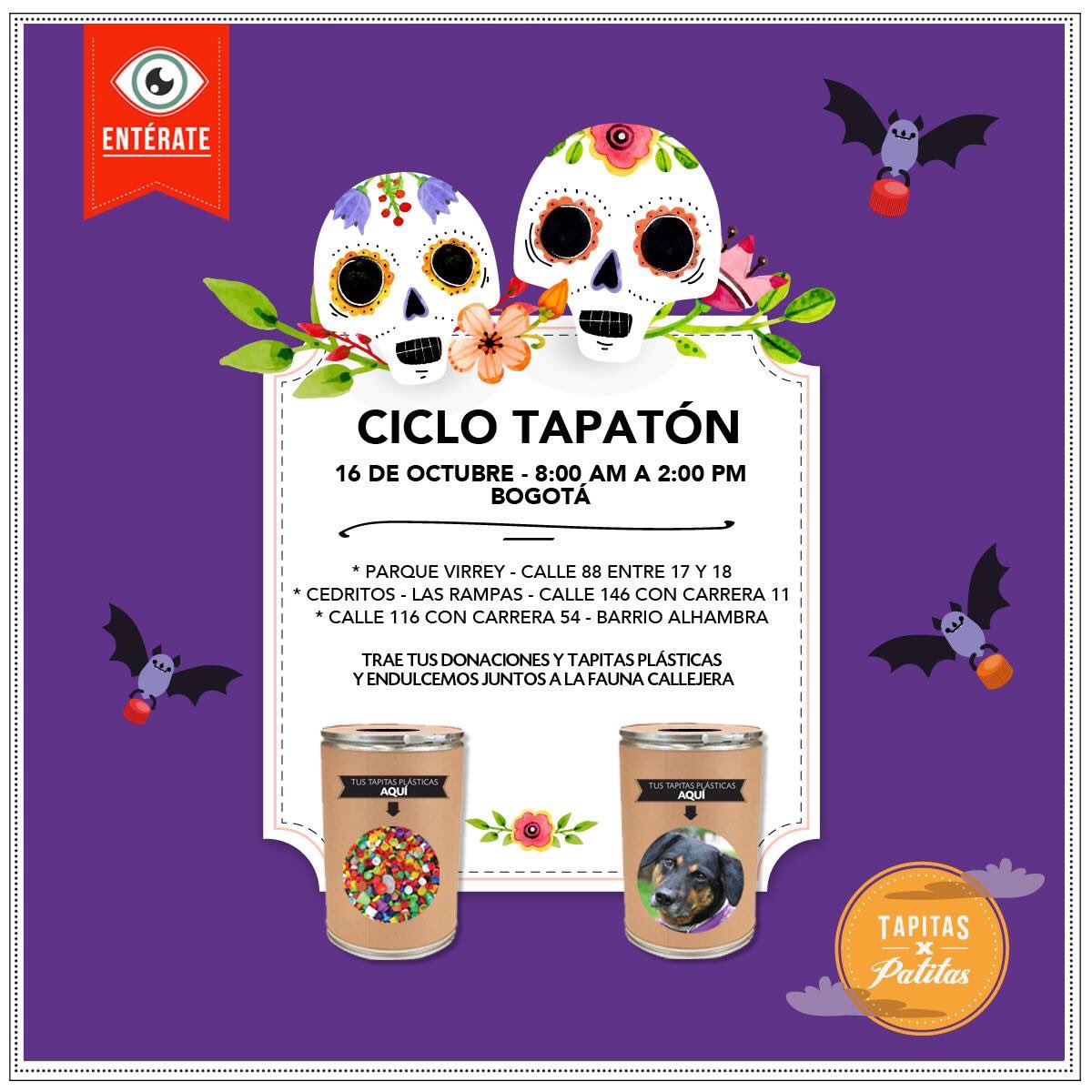 Si tienes tapitas plásticas para ayudar a la fauna callejera, mañana es la oportunidad.