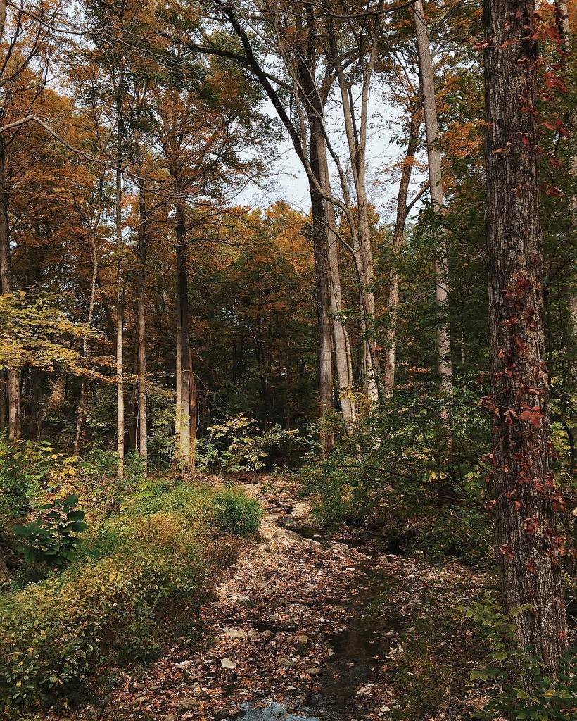darrenisreal's tweet photo. This is world is big, and so awake.
#vsco #vscocam #oakwood #houkstream #exploreohio #ohio https://t.co/VfqHfJFtEs https://t.co/EQ1WNR7R5L