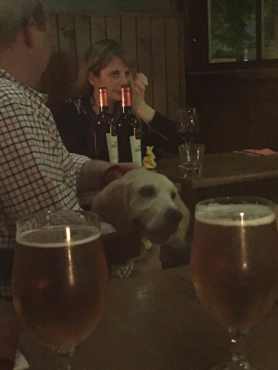 itscarlybeth's tweet image. This dog loves everyone! #pupsnpints