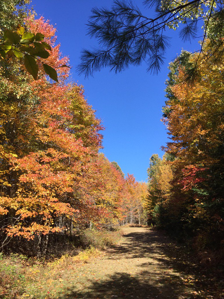 memphr's tweet photo. #Georgeville QC. Fantastic colors https://t.co/utMAgaiNEU