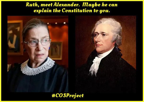 DDS_62's tweet photo. MT @Doug_39: Some people just don't get the Constitution. #FF1776 #ArticleV #PJNET https://t.co/IMwhFd7f2F