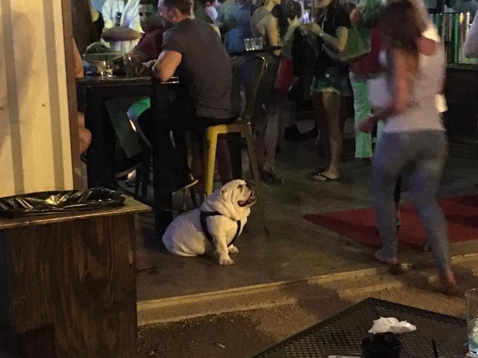 kaitlinmonte's tweet image. Spotted at Kirby Ice House tonight. This will be me after the show. #howtohouston