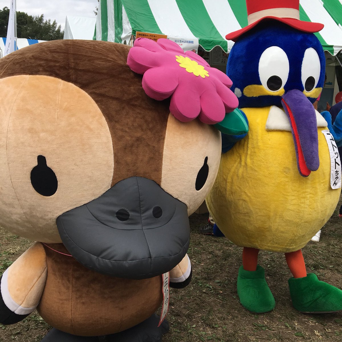 コトミちゃんトコトコさんぽ Twitter वर コトミちゃんとコトットちゃん コトットちゃんは 江東区民まつりのキャラクターです コトミちゃんともどもよろしくお願いします コトミちゃん 江東区民まつり コトミちゃんトコトコさんぽ Twitter वर コトミちゃんとコトットちゃん コトットちゃんは 江東区民まつりのキャラクターです コトミちゃんともどもよろしくお願いします コトミちゃん 江東区民まつり