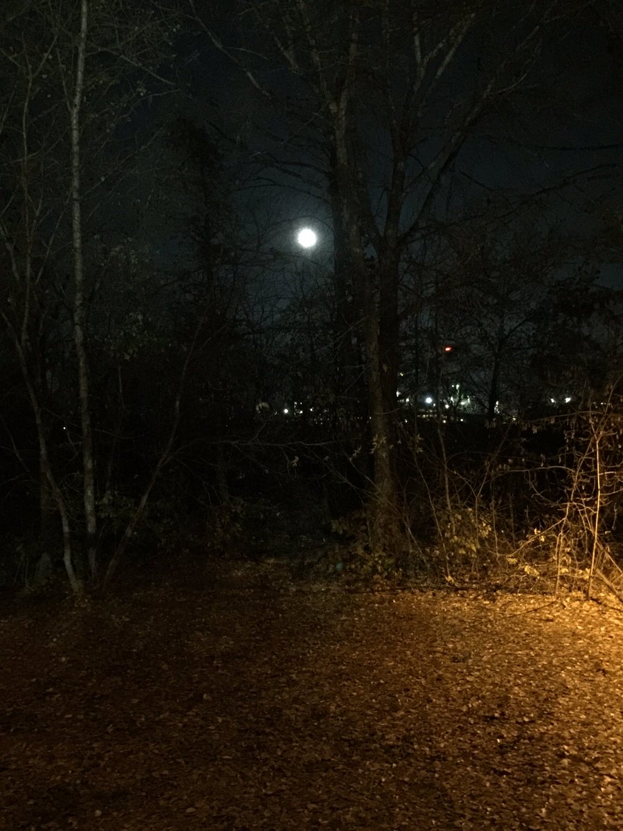 Denise13F's tweet photo. And now #this. An evening #runningdate w @Tim13S #running &amp; it's cold. 😝#adventure #createhappiness #run we #run2gether in our 50's. https://t.co/RwiIgBmGyV