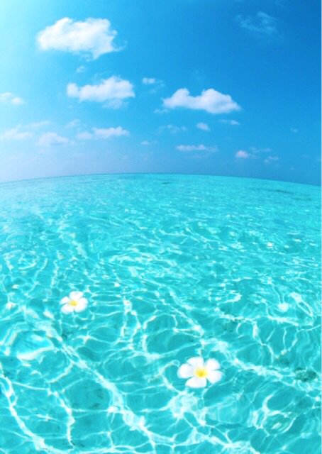 美しい海をめぐる旅 美しい海をめぐる旅