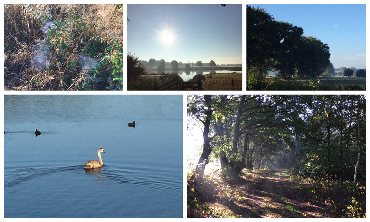 Vandaag heerlijk wandelen in het oude cultuurlandschap van landgoed de Groote Scheere met daarna warme chocomelk bij <a href="/DeGanzenhoeve/">De Ganzenhoeve</a>