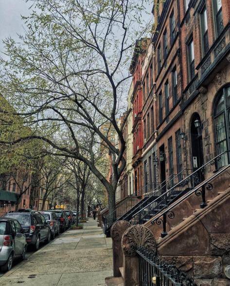 RinconesNY's tweet photo. Así de preciosa está la 85th Street con los colores otoñales 🌻🍃🍂🌲🍂🍁🍂🍃 https://t.co/yf2dG7xI0n