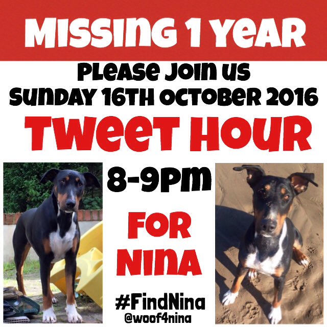 Too many tears get Nina home <a href="/Woof4Nina/">Nina's Auntie Verena</a> <a href="/pipthered/">Pip Pritchard</a> <a href="/Michellecstitch/">michelle Henderson</a> <a href="/MissingDogsIrl/">Missing Dogs Ireland</a> <a href="/FindingNina2/">Finding Nina</a> <a href="/Bifferone/">Biff Mitchell</a> @helping2reunite <a href="/LeighFrancis/">Leigh Francis</a>