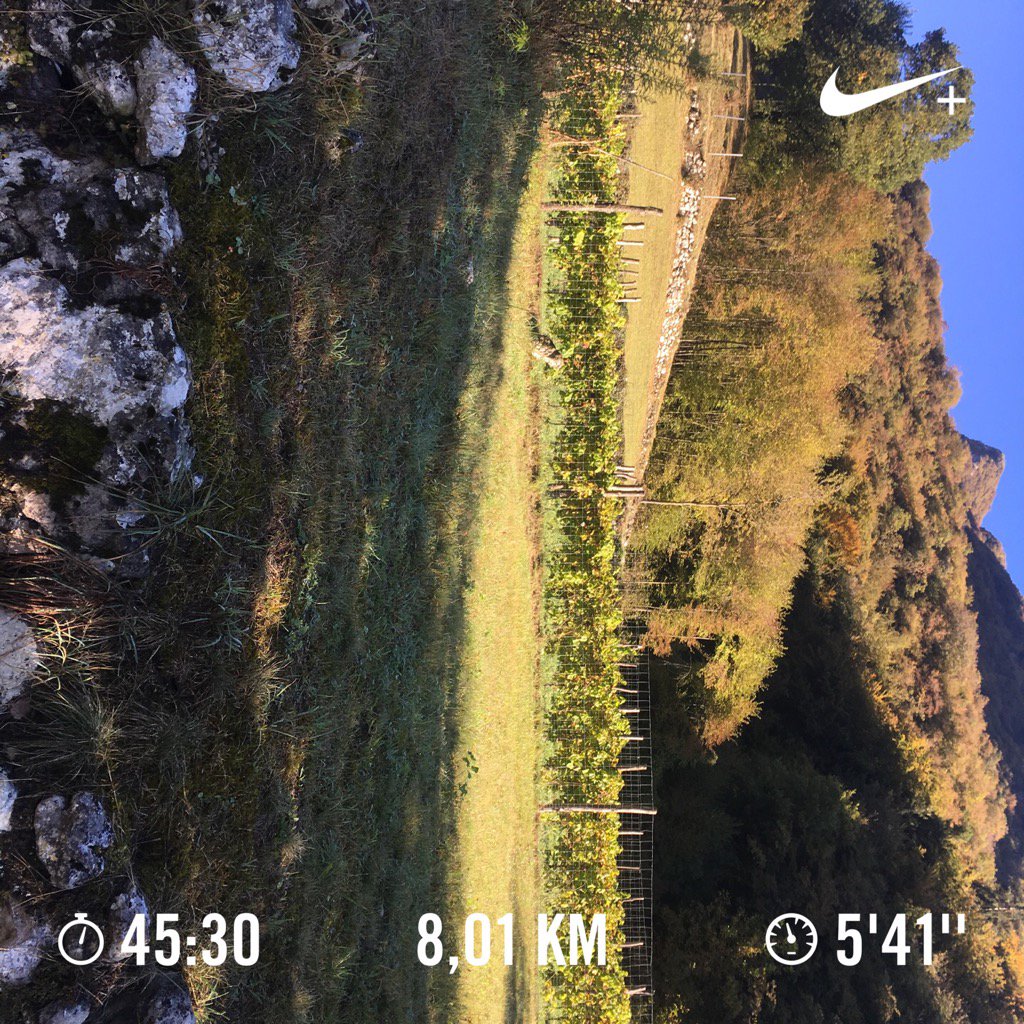 SimoneZucchell4's tweet image. Tenno lake