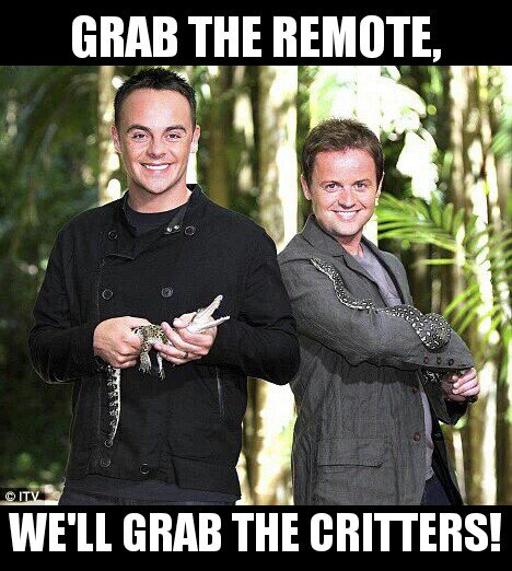 Ant_Dec_Memes's tweet photo. #ImACeleb is almost here!🐍🕷🌴
@antanddec WE R READY TO JUNGLE!! #ImACeleb2016
@imacelebrity https://t.co/W2cJv2hc3v