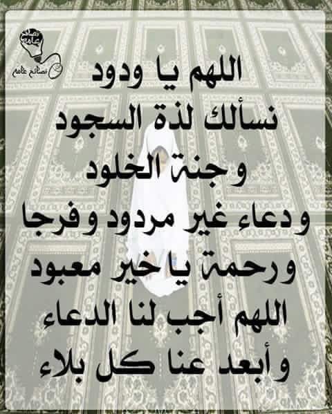 يسرى يسرى (@husseinmhmad55) on Twitter photo 