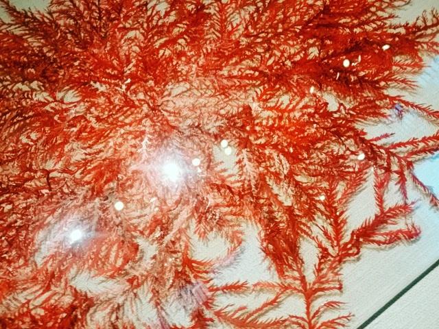 我流切紙人 ミニ自在展弐 10月中無休 サトウ画材 生々流展 博物ふぇすthanks 海藻作品 制作候補 イソハギ ナガオバネ カゴメノリ ホソジュズモ アヤニシキ そして 巣立っていった ヒジキ ユカリ を再度制作 まずは このあたりかな 海藻作品 我流切紙人 ミニ自在展弐 10月中無休 サトウ画材 生々流展 博物ふぇすthanks 海藻作品 制作候補 イソハギ ナガオバネ カゴメノリ ホソジュズモ アヤニシキ そして 巣立っていった ヒジキ ユカリ を再度制作 まずは このあたりかな 海藻作品