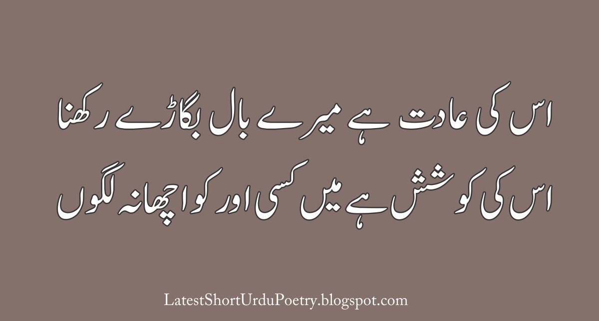 Shakir Shujabadi Shakirshujabadi Twitter