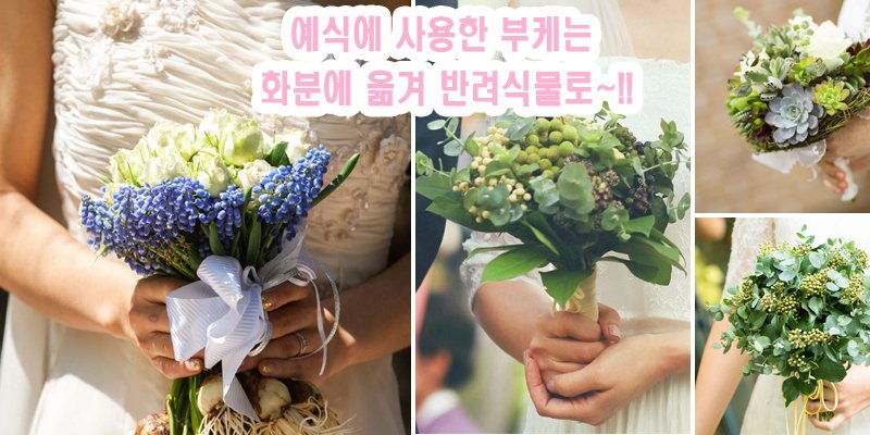 ekfgo89's tweet photo. 남에게 보유주기 위한 결혼식이 아닌 그 날의 주인공인 신랑 신부를 비롯해 주인공들과 가장 가까운 거리에 있는 지인들과 함께 보내는 행복한 ��간~! 
https://t.co/7sSU7kbgdr https://t.co/01HIqw1Lud