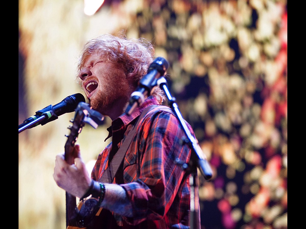purpleamma1's tweet photo. #EdSheeran #MultiplyMemories 💚🐻
#EDinrED #EasyLikeSundayMorning 🎶

Hope y'all have a chillED out, lovEDly day 💙❤️ https://t.co/cVkz07gHl6