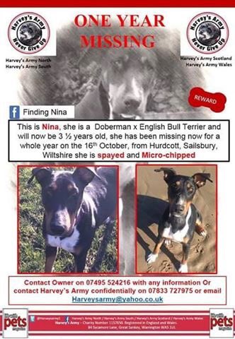 💔 #MissingOneYear #FindNina #MissingDog 16.10.15 #Hurdcott #Salisbury #Wiltshire #scanme #StopPetTheft 💔
