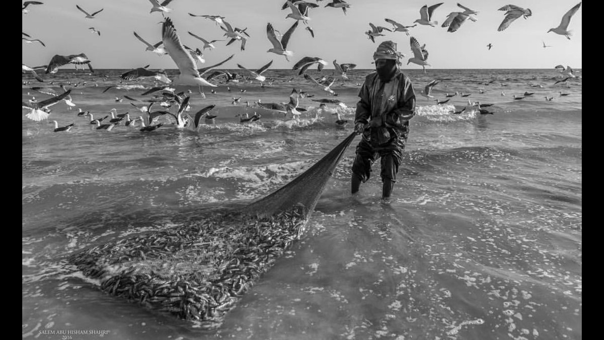 صور اليوم 💞
موسم الضواغي في ظفار الجنوب وعودة لموسم صيد السردين (العومة)

صور جميلة من أعمال المبدع أبو هشام سالم الشحري
<a href="/salim474711/">سالم أبوهشام الشحري</a>