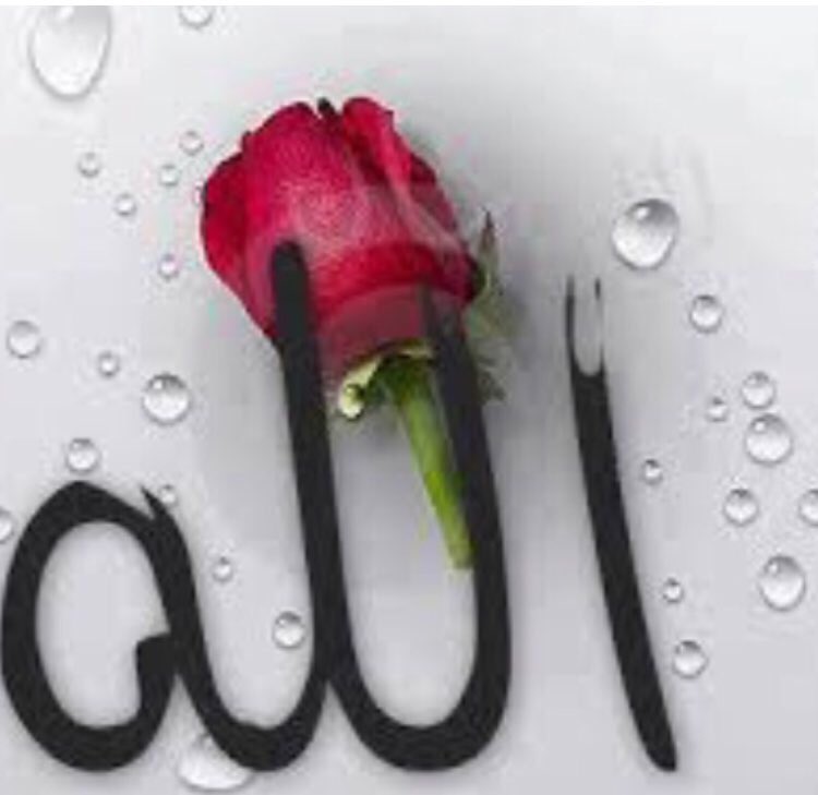 mat_1409's tweet photo. وخيرة الله دوماً أفضل من أمانينا 🌹
#قروب_خوات_للدعم
#الواثقه https://t.co/TIKbu9pmse