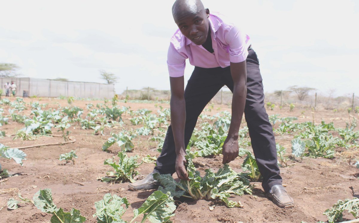 Adesoafrica's tweet photo. "When I become an Agricultural Officer, I'll teach my community about climate smart agriculture." - 17yr old Emmanuel #WorldFoodDay https://t.co/G6rKknvnbV