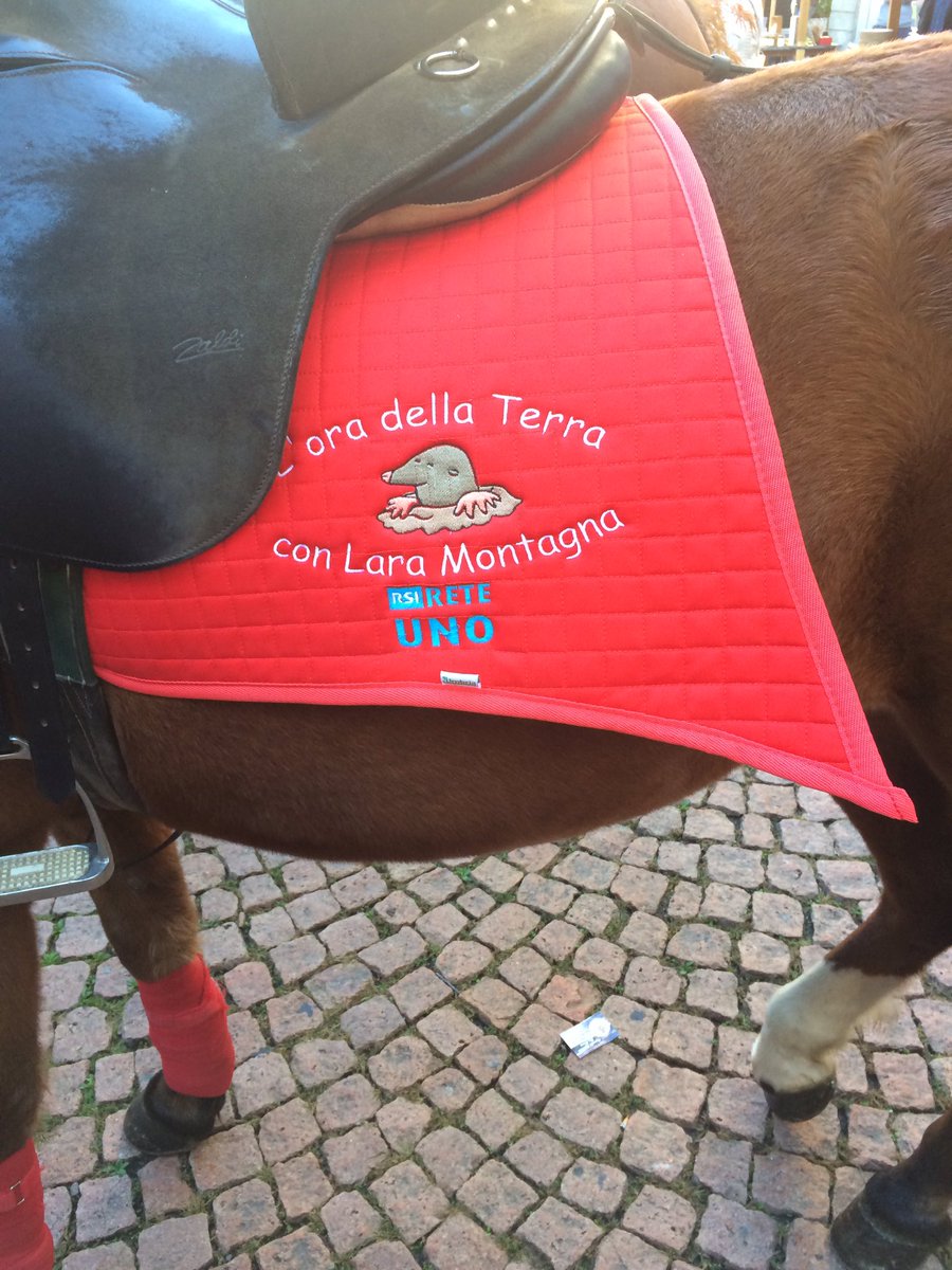mauriziocanetta's tweet photo. Un cavallo griffato L'ora della terra. @laramontagna @RSIonline #bellinzona #mercato https://t.co/yqZIIdlSvs