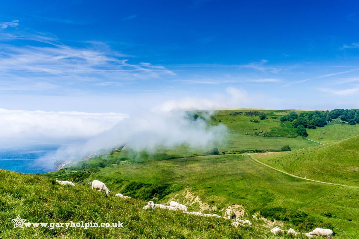 GaryHolpin's tweet image. Good morning friends 🙂 Wishing you a peaceful Sunday 🙂