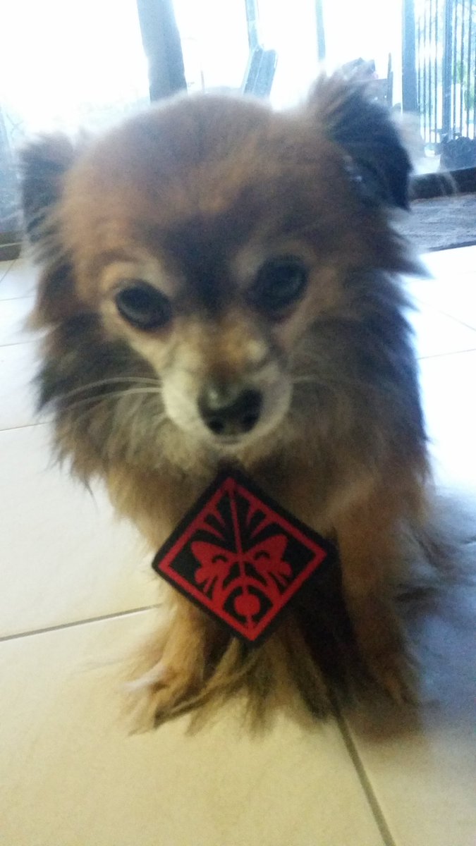 JTXP_989's tweet photo. @STACKmag
#STACKOMEN
#OMENbyHP https://t.co/wMwYLaPpkd