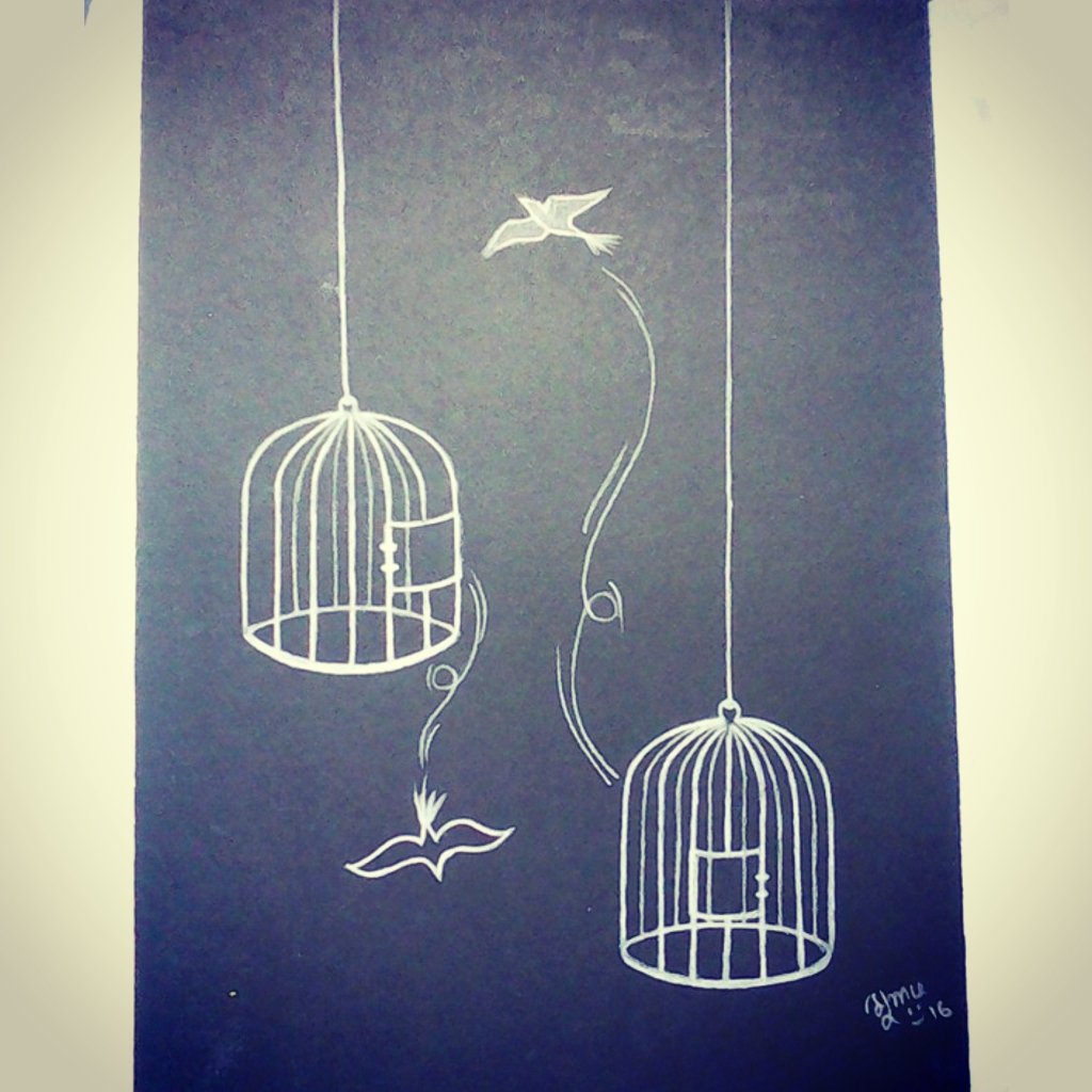 AnikaMumu's tweet photo. Better be free bird then a captive king😊 🐦#freebirds #emptycage #blackpaper #whitepencil https://t.co/UY0UcF0ZJV