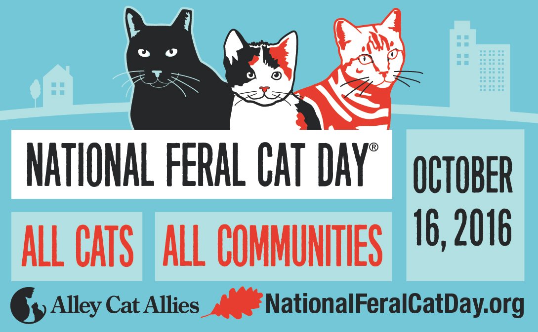 Today is #NationalFeralCatDay ow.ly/NU8V305dNCx