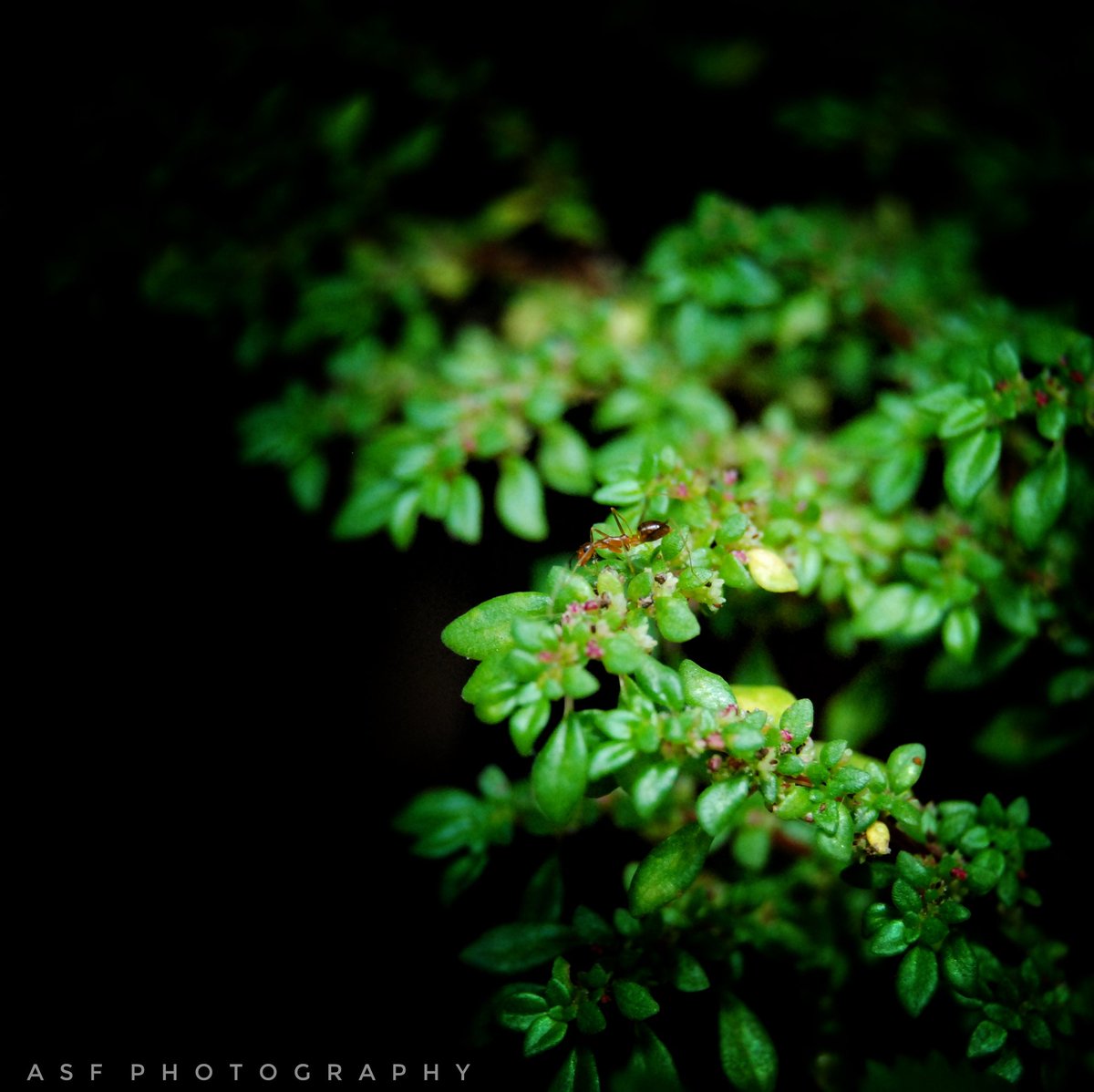 CreationTorque's tweet image. 