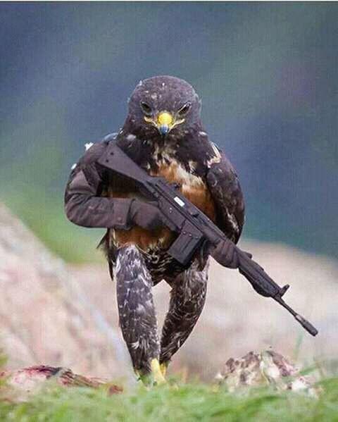 SumanSh58162523's tweet photo. just for fun https://t.co/pAFSy5Bxiz
