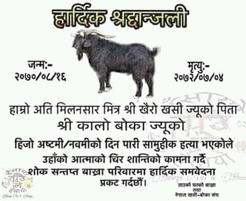 SumanSh58162523's tweet photo. just for fun https://t.co/pAFSy5Bxiz