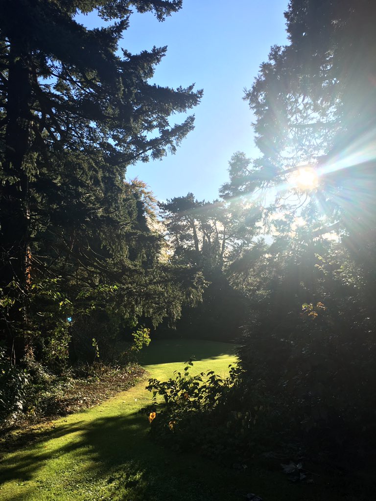 hobokitchen's tweet photo. @barrabest after a day of crap weather the early evening autumn sun was mind blowing! #belmontroad #eastbelfast #autumnsun https://t.co/MoXFTFEKCq