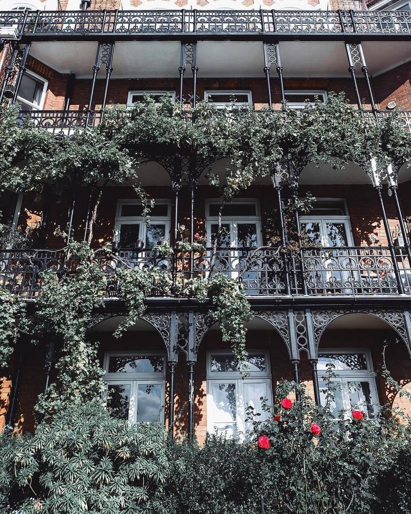 arigurdon's tweet photo. I believe this house qualifies for a #plant_problem hashtag that I've seen knocking about โฆ https://t.co/nAUwXVDVZc https://t.co/ebdZ8xtwQQ