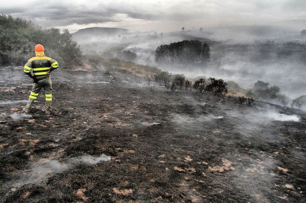 eldiarioescan's tweet photo. FOTOGALERÍA | La exposición #Click26 reúne el trabajo de los mejores fotoperiodistas cántabros. https://t.co/ssk9IieU86 https://t.co/HP2MlGsRIp