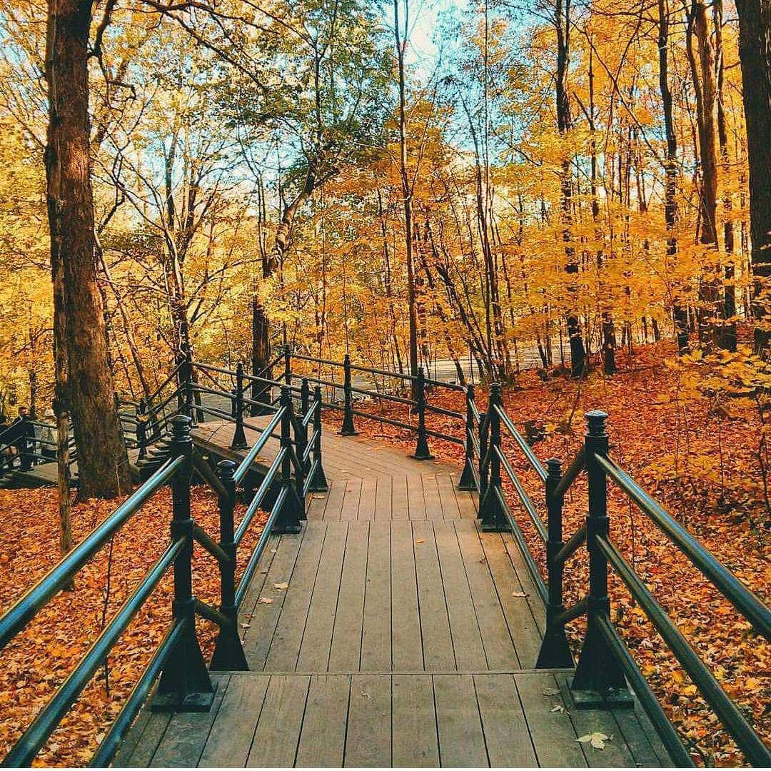 mtlblog's tweet photo. Hiking up Montreal's Mount Royal in the fall is a fun thing to do! 🍁 Picture by Drowster #montreal #quebec #canada https://t.co/nSDZWxlihx