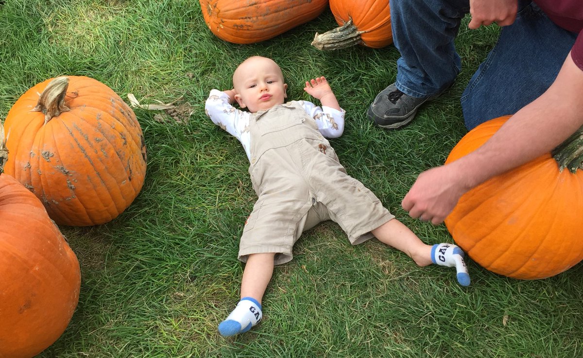 crystal_scott_'s tweet photo. He falls & before getting back up, asks himself 'but why?' #babiesknow #myhero #thisguy #lifegoeson #surprisenap #chill https://t.co/3no15leHW1